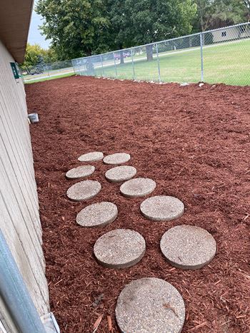 Fenced-In Dog Park